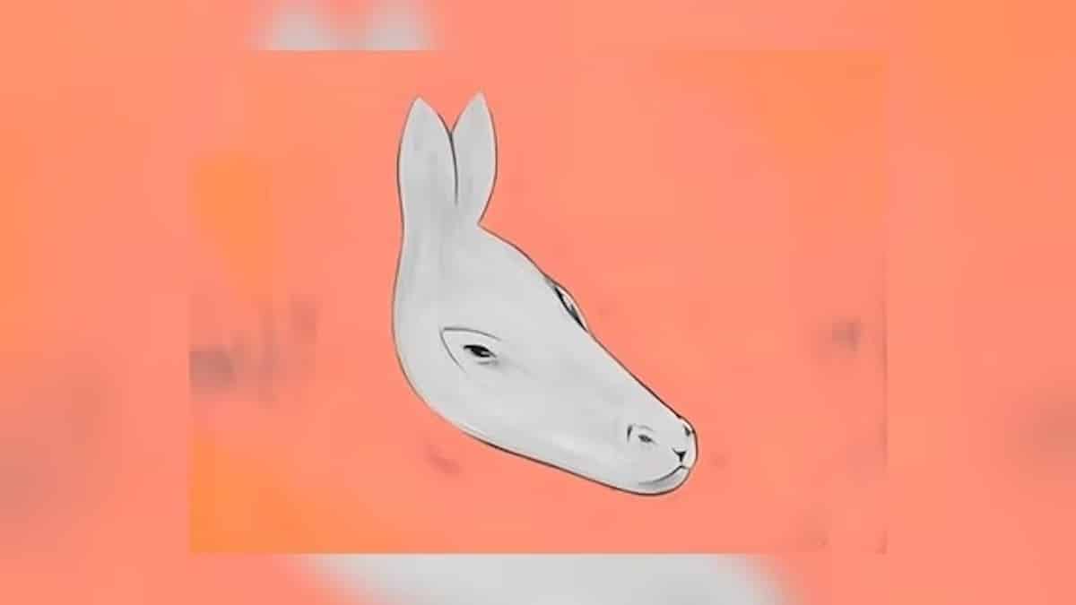 À quoi ressemblera votre avenir si vous voyez un phoque ou un âne lors du test visuel