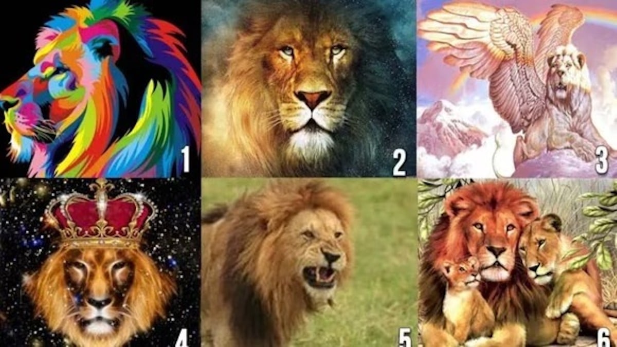 Test visuel: choisissez le lion que vous aimez le plus et découvrez votre partenaire idéal