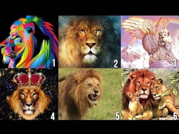 Test visuel: choisissez le lion que vous aimez le plus et découvrez votre partenaire idéal