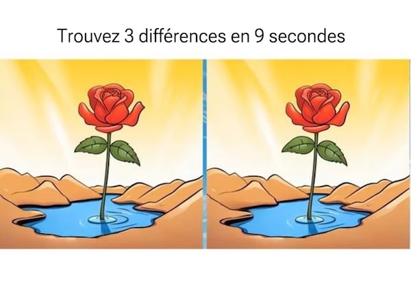 Trouvez les 3 différences entre les 2 roses en moins de 9 secondes