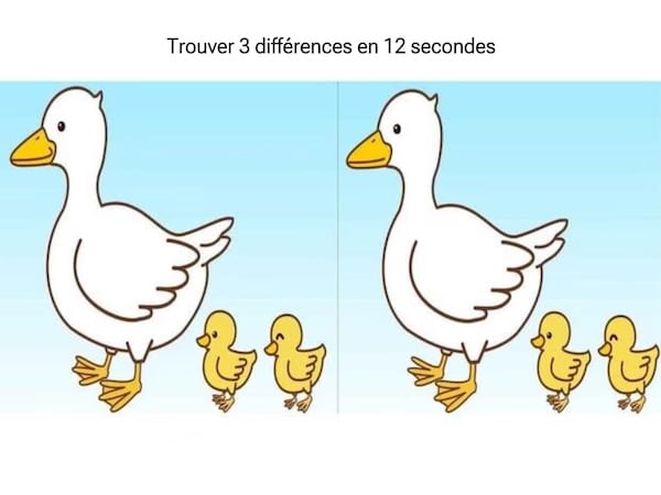 Trouvez les 3 différences entre les images de canards et de canetons en 12 secondes